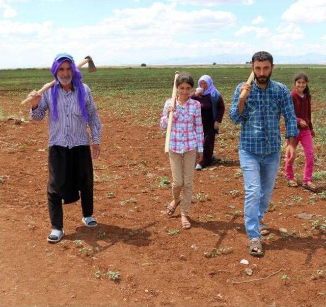 Teog Şampiyonu Olduğunu Tarlada Çalışırken Öğrendi