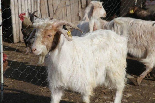 3 Başarılı Girişimci Kadın 1