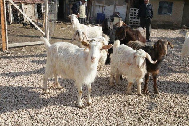 3 Başarılı Girişimci Kadın 2