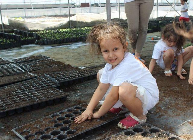 Didim Belediyesi Çevre Eğitim Ödüllerine Bir Yenisini Daha Ekledi