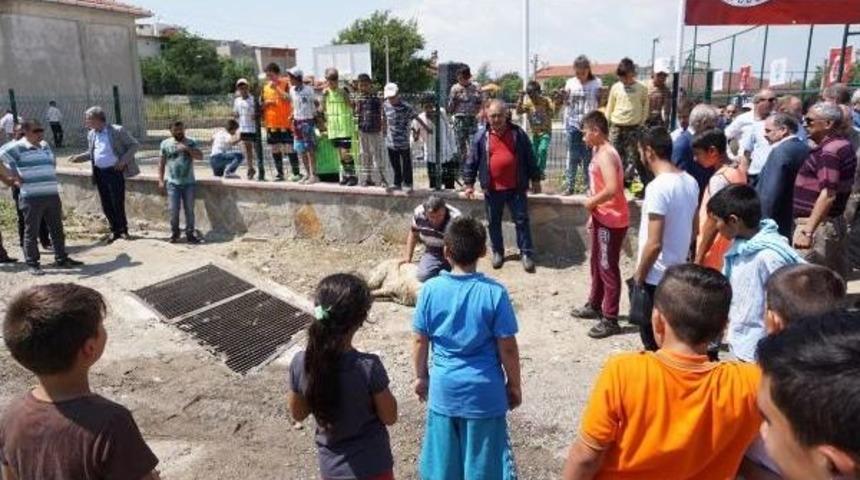 Semt Sahası A&ccedil;ılışında Kurban Kesilmesini &Ccedil;ocuklar Izledi