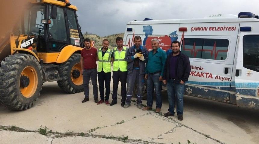 Su Giderine Sıkışan Yavru K&ouml;pek İ&ccedil;in Seferberlik