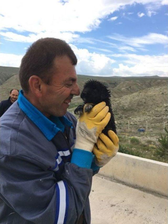 Su Giderine Sıkışan Yavru Köpek İçin Seferberlik