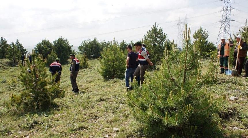 Mahkumun İfadesi &Uuml;zerine İş Makinesiyle Ceset Arandı