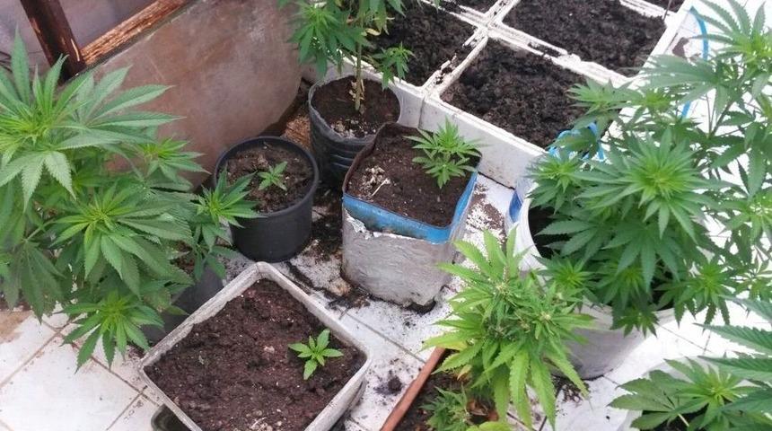 Ayvalık&rsquo;ta Uyuşturucu Satıcılarına Darbe