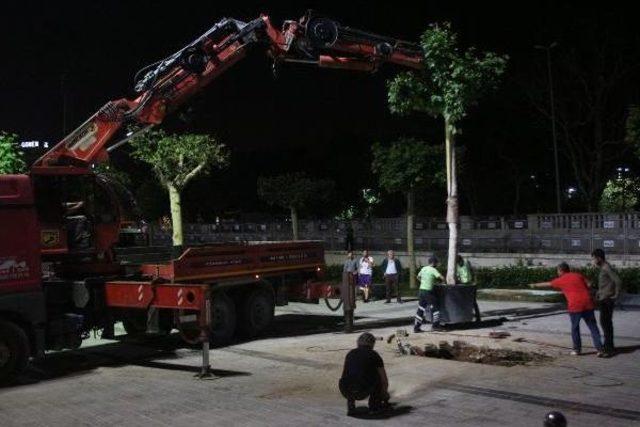 Taksim Meydanı Ağa&ccedil;landırma &Ccedil;alışmaları Tamamlandı 2