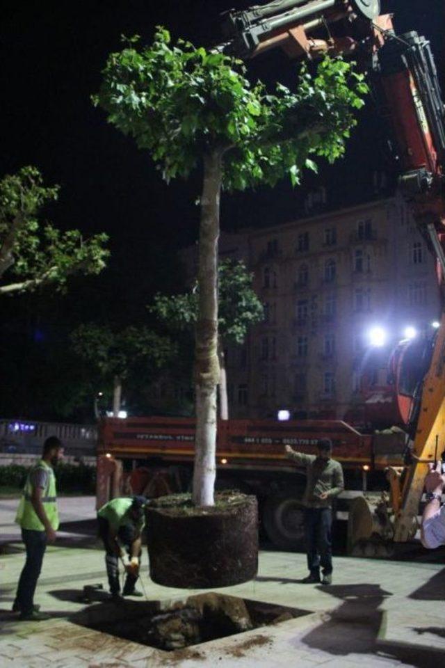 Taksim Meydanı Ağa&ccedil;landırma &Ccedil;alışmaları Tamamlandı 3