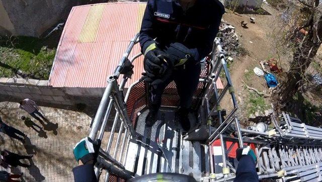 İtfaiyeden Kuş Kurtarma Operasyonu 1