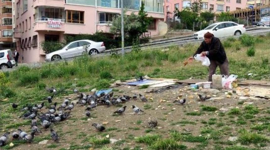 85 Yaşında, Y&uuml;zlerce G&uuml;vercin Besliyor