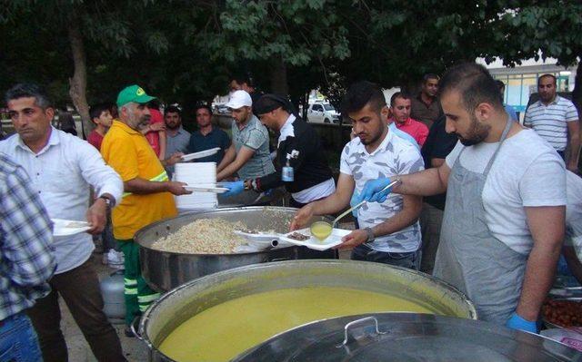 Nusaybin’de Terör Yerini Huzura Bıraktı