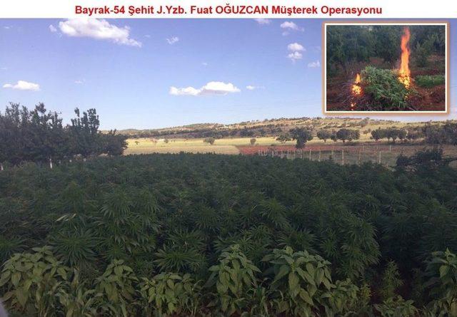 Diyarbakır-bingöl Karayolunda 2 Farklı Yerde Tuzaklanmış Eyp Bulundu