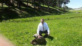 Yaralı Kızıl Akbaba Ile Tilki Yavruları Emin Ellerde