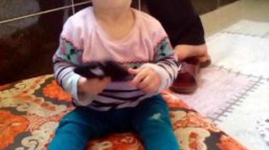 3'&uuml;nc&uuml; Kattan D&uuml;şen 2 Yaşındaki Yekbun &Ouml;ld&uuml;