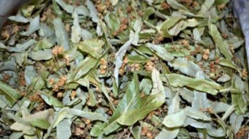 Ramazan Ayında V&uuml;cudu Rahatlatan &Ccedil;aylar