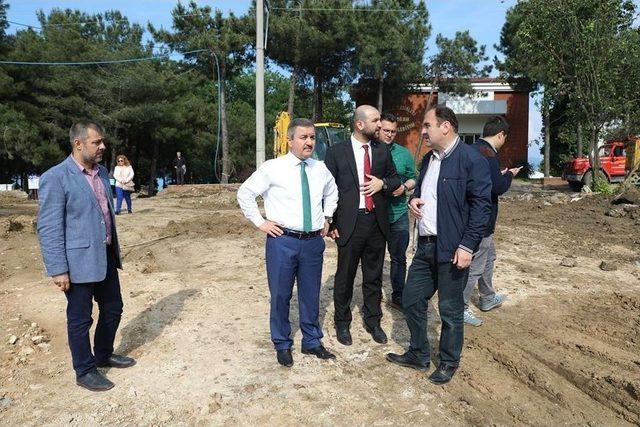 &Ccedil;amlık Mesire Alanı&rsquo;nda Sona Doğru 1