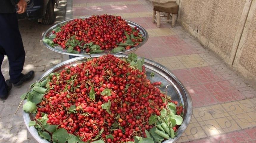 Mardin Kirazı Tezgahtaki Yerini Aldı