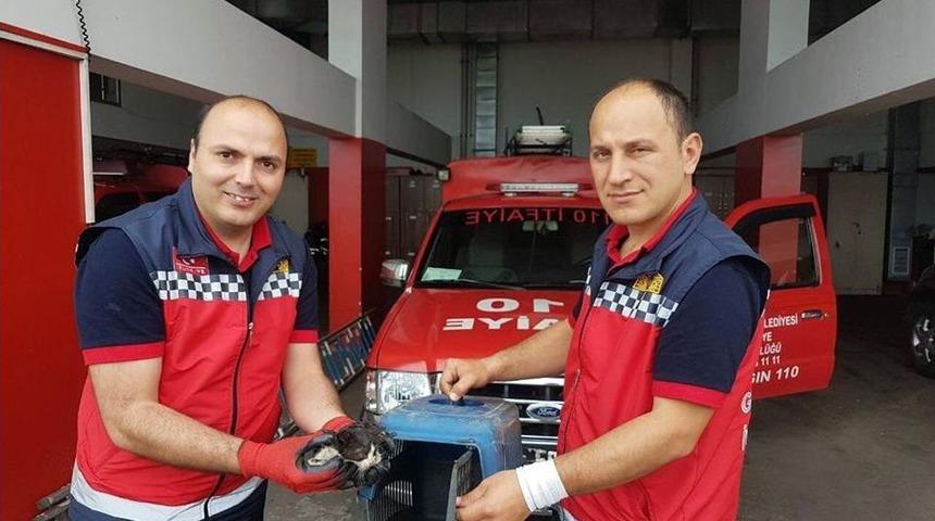 Aracın Motoruna Giren Yavru Kediyi İtfaiye Kurtardı