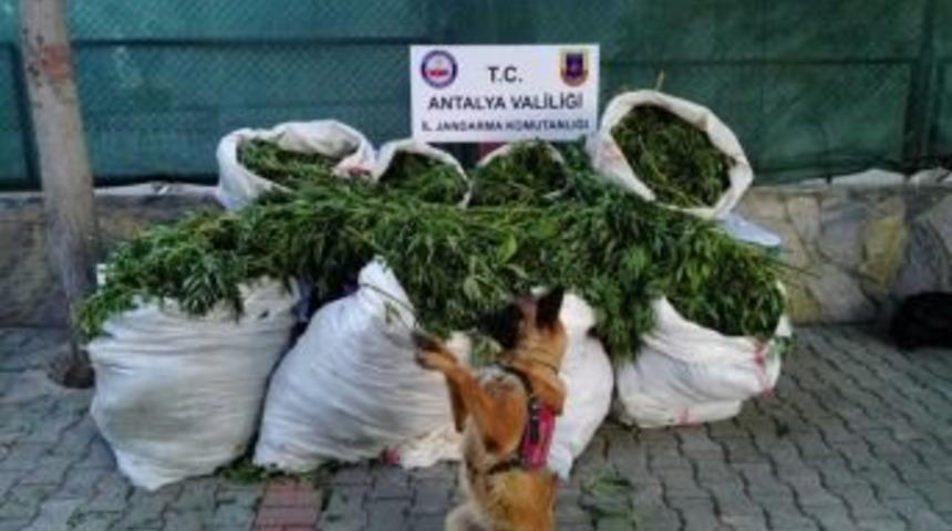 Antalya&rsquo;da Zehir Tacirlerine Ağır Darbe