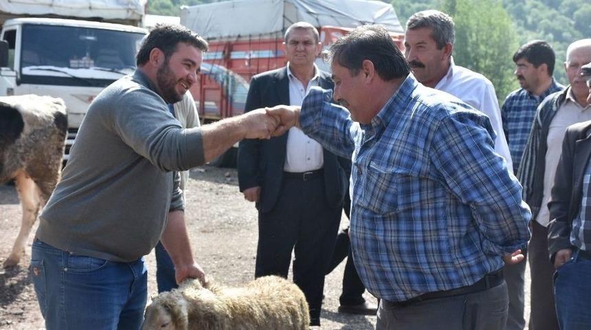 Kızılcahamam&rsquo;da Canlı Hayvan Pazarı A&ccedil;ıldı