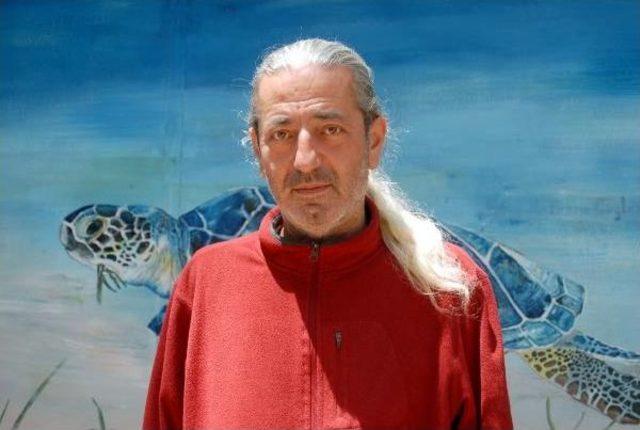 Serik te Geçen Yıl 2 Bin 500 Caretta Caretta Yuvası Tespit Edildi 3