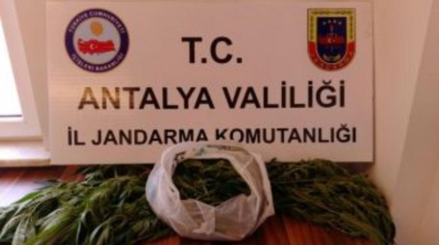 Alanya&rsquo;da Uyuşturucu Operasyonu