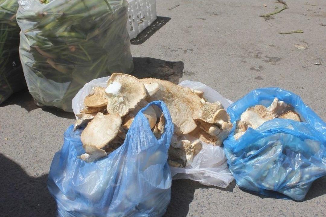 Ağrı&rsquo;da Mantara Yoğun İlgi