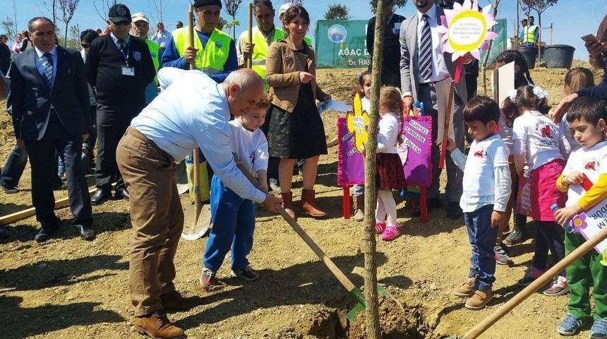 13 Şehidin Anısına 13 &Ccedil;ınar Ağacı