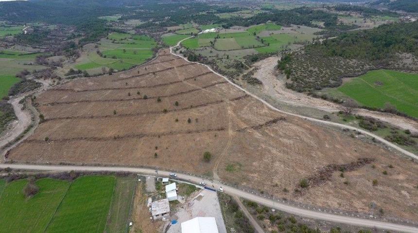 Kastamonu&rsquo;da 200 Dekarda Ceviz Ve Badem Dikildi