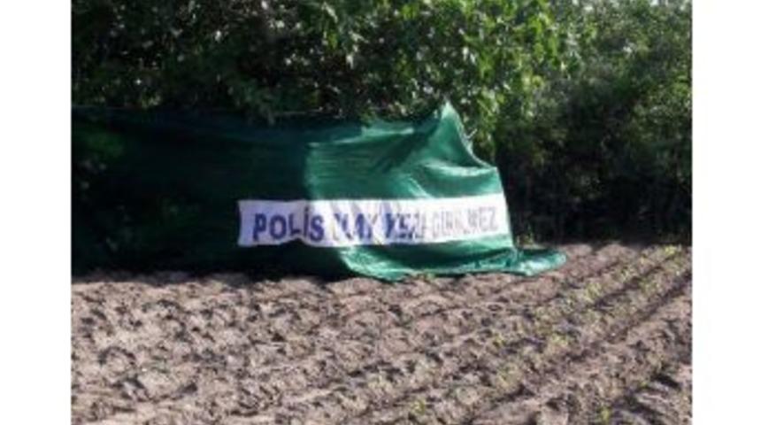 'teravihe' Diye &Ccedil;ıktı, Kendini Incir Ağacına Astı