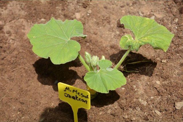 Başkan Özakcan’ın 5 Haziran Dünya Çevre Günü Mesajı 1