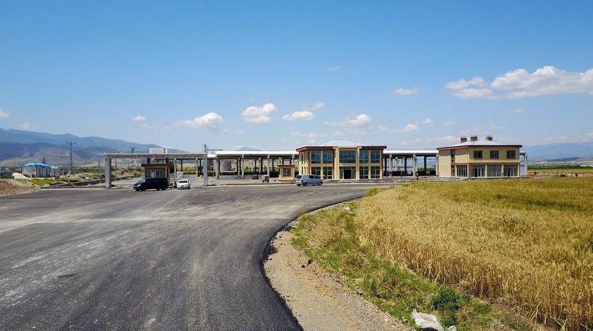 Canlı Hayvan Borsasında Hayvanlar Haziranda G&ouml;r&uuml;c&uuml;ye &Ccedil;ıkıyor