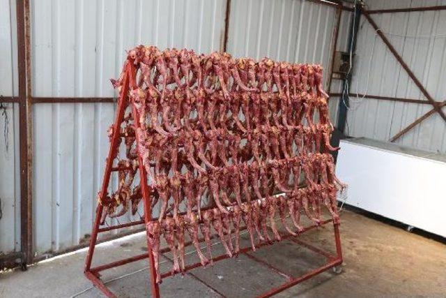 Adapazarı nda Ahırda Tavuk Kesimine Su&ccedil;&uuml;st&uuml; 3