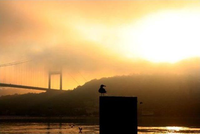 Boğaz da Sis Etkili Oluyor 3