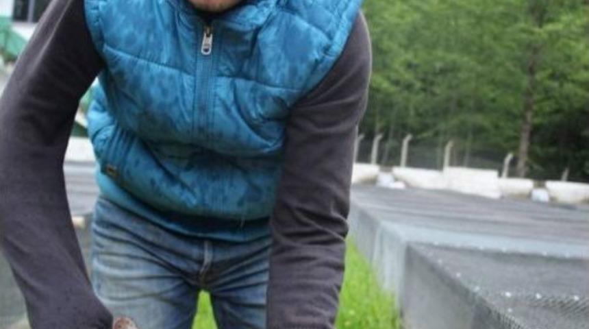 T&uuml;rkiye&rsquo;nin Derelerinin Alabalığı Trabzon&rsquo;dan