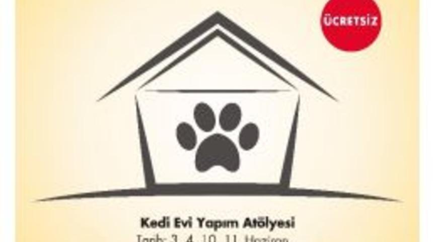 İzmirli Minikler, Kedi Dostları İçin Yuva Yapacak