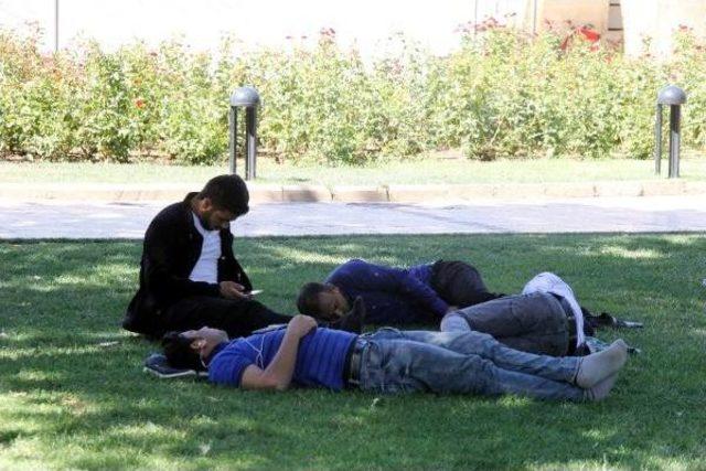 Şanlıurfa'da Oruç Tutanların 'ramazan' Uykusu