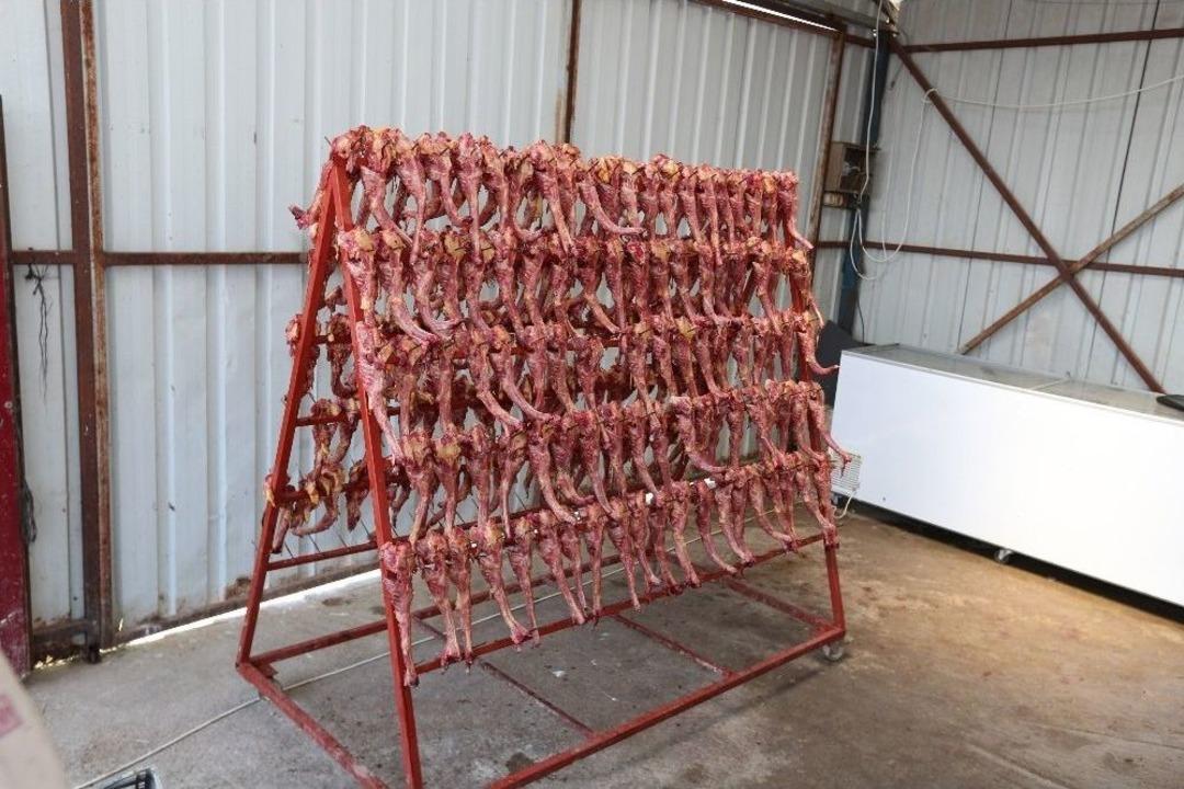 Sakarya&rsquo;da Mide Bulandıran G&ouml;r&uuml;nt&uuml;ler