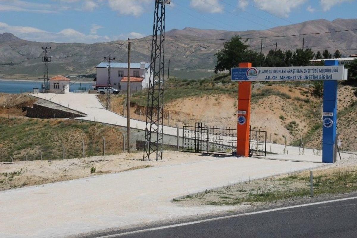 21 İlin Balıklarını Elazığ Ar-ge Merkezi &Uuml;retecek