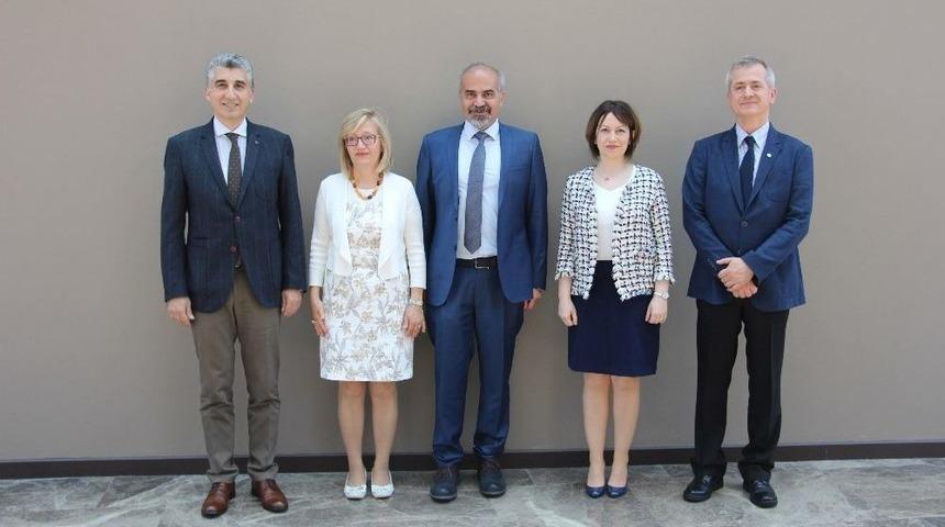 Radyolojide Cihaz Az, Ama Tetkik Fazla