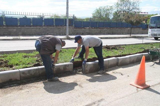 Ordu Caddesinde Refüj Yenileme Çalışmaları