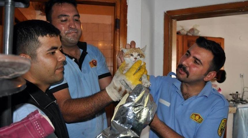 Havalandırma Boşluğuna D&uuml;şen Kedi Operasyonla Kurtarıldı