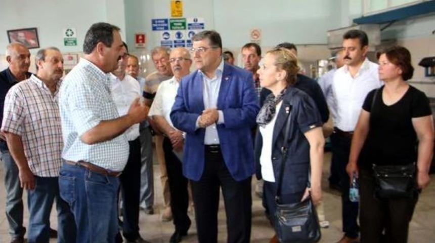 Chp'li Sındır'dan Zeytin &Uuml;reticilerine Destek S&ouml;z&uuml;