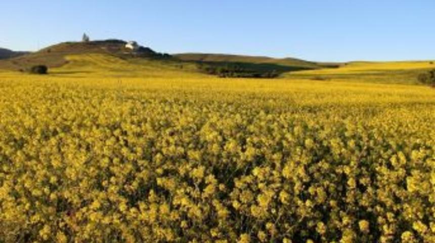 Sivas&rsquo;ta Kartpostallık Manzara