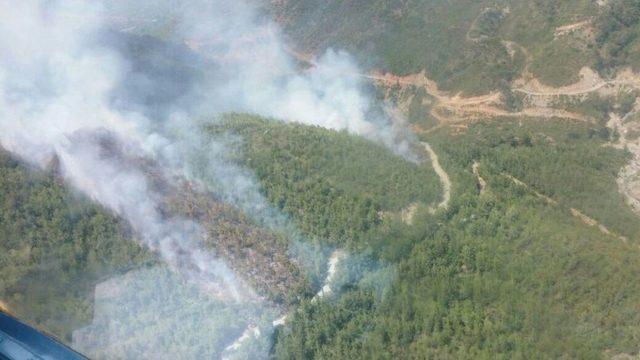 Hatay’da Orman Yangını