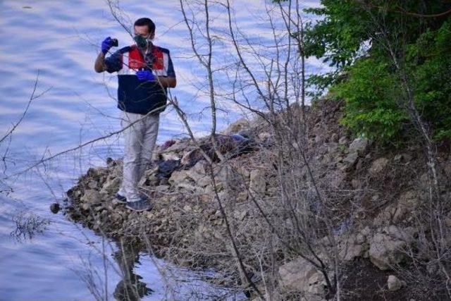 Erbaa'da, Baraj Gölü Kıyısında Erkek Cesedi Bulundu