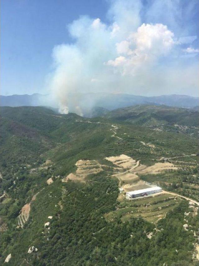 Hatay’Da Orman Yangını