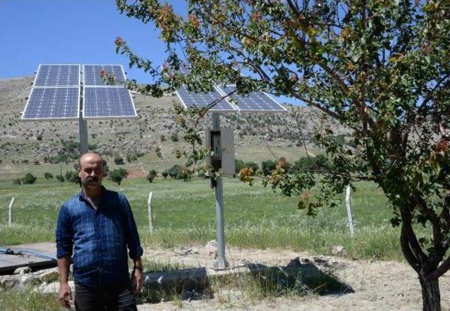 Güneydoğu'da Üreticiye 'sıfır Maliyetli' Meyve Bahçeleri