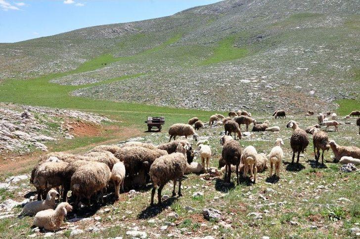 Köylüler, Susuzluğu 200 Yıldır "kar Bastırarak" Çözüyor G2