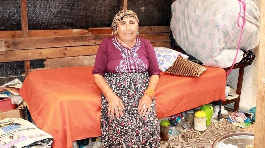 60 Yaşındaki Kadın Tahta Barakada Yaşam Savaşı Veriyor