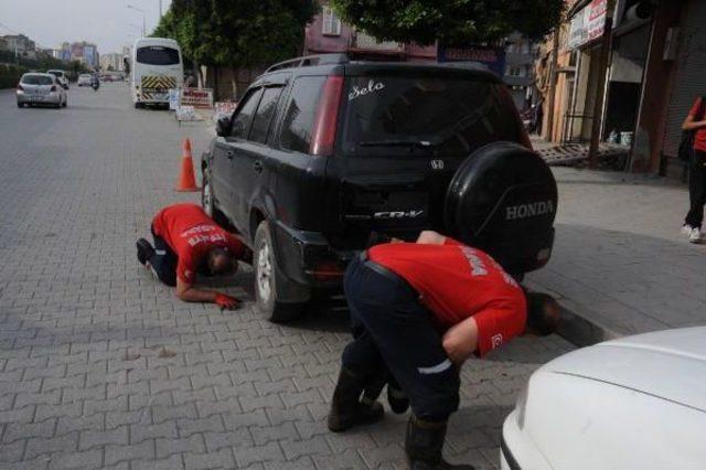 İnatçı Kedi Itfaiye Ve Mahalleliyi Seferber Etti